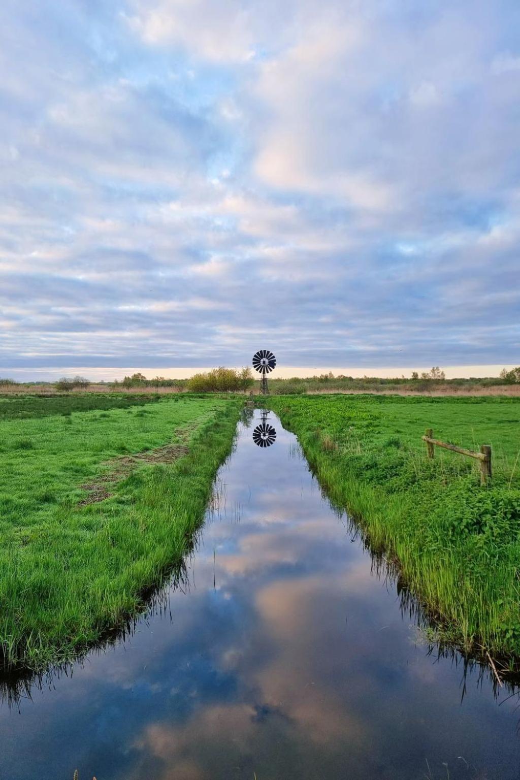 Holiday Home Natuurlijk De Veenhoop By Interhome ภายนอก รูปภาพ
